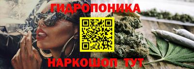 индика Свободный