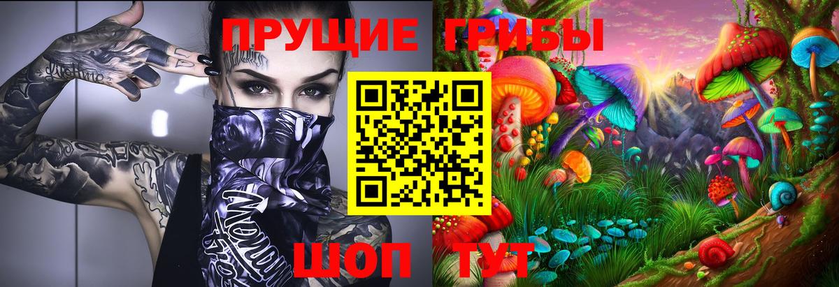 Псилоцибиновые грибы Psilocybine cubensis  Вход с VPN  Арсеньев 