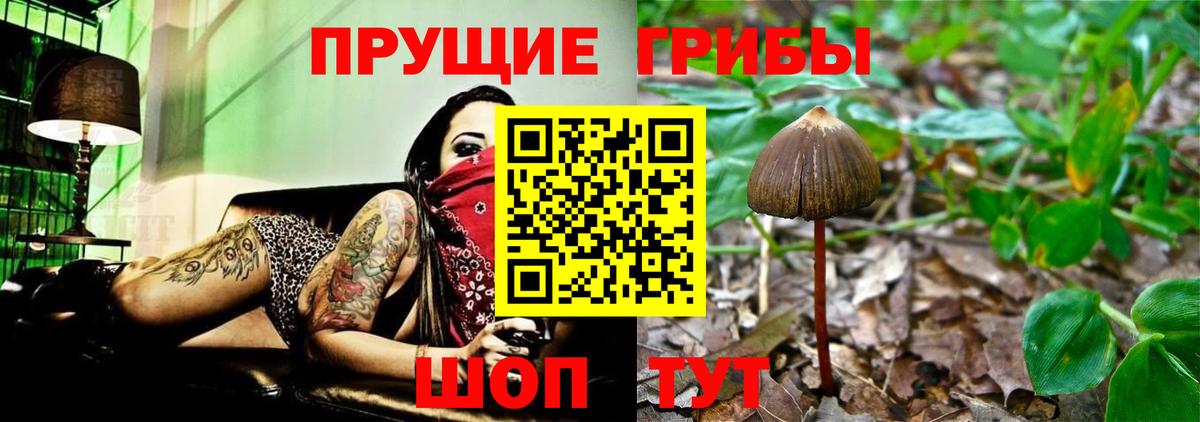 Галлюциногенные грибы мицелий Арсеньев